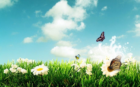 台稜精緻農業用具齊全