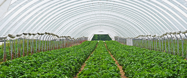 保持環境恆定提高工廠生產效率，讓高優質加濕機來幫忙